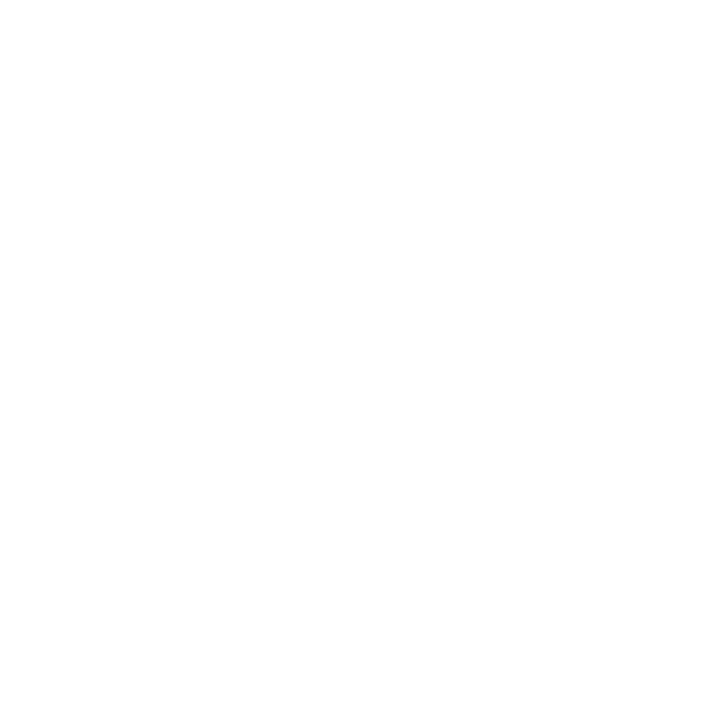 Rescord Icon